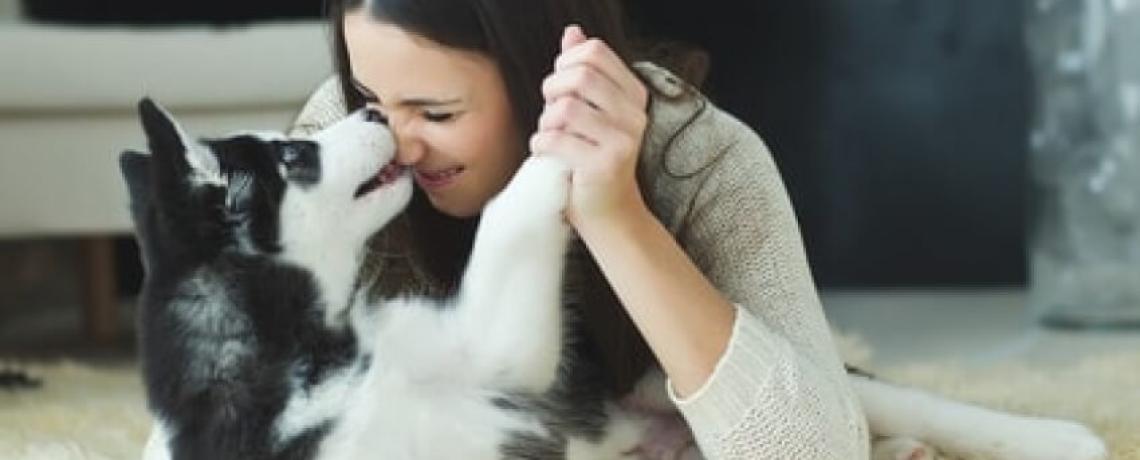 Statut juridique des animaux, de « biens meubles » à « êtres vivants doués de sensibilité »