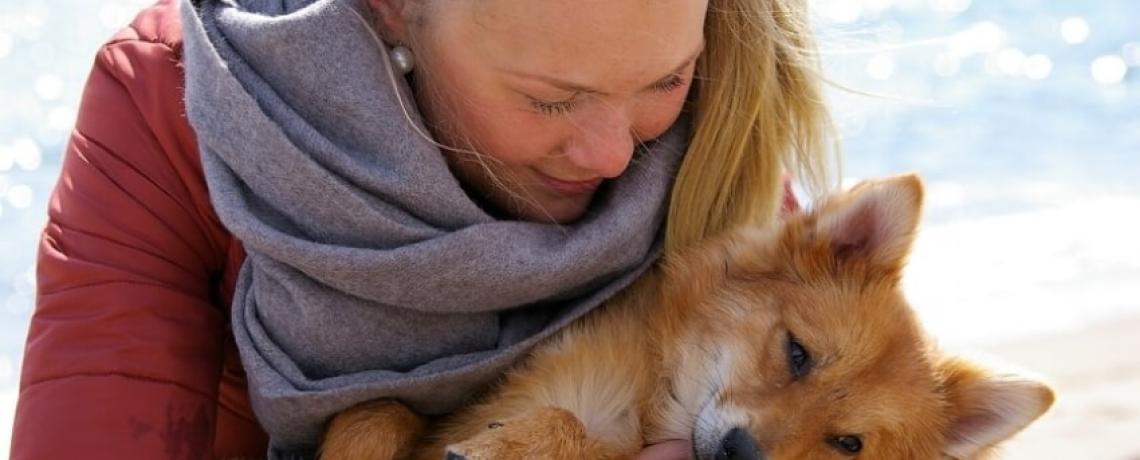 Quels sont les devoirs d'un propriétaire de chien ou chat ?