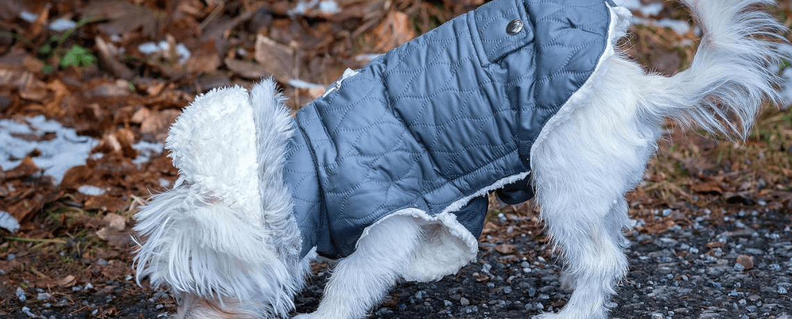 acheter manteau pour chien