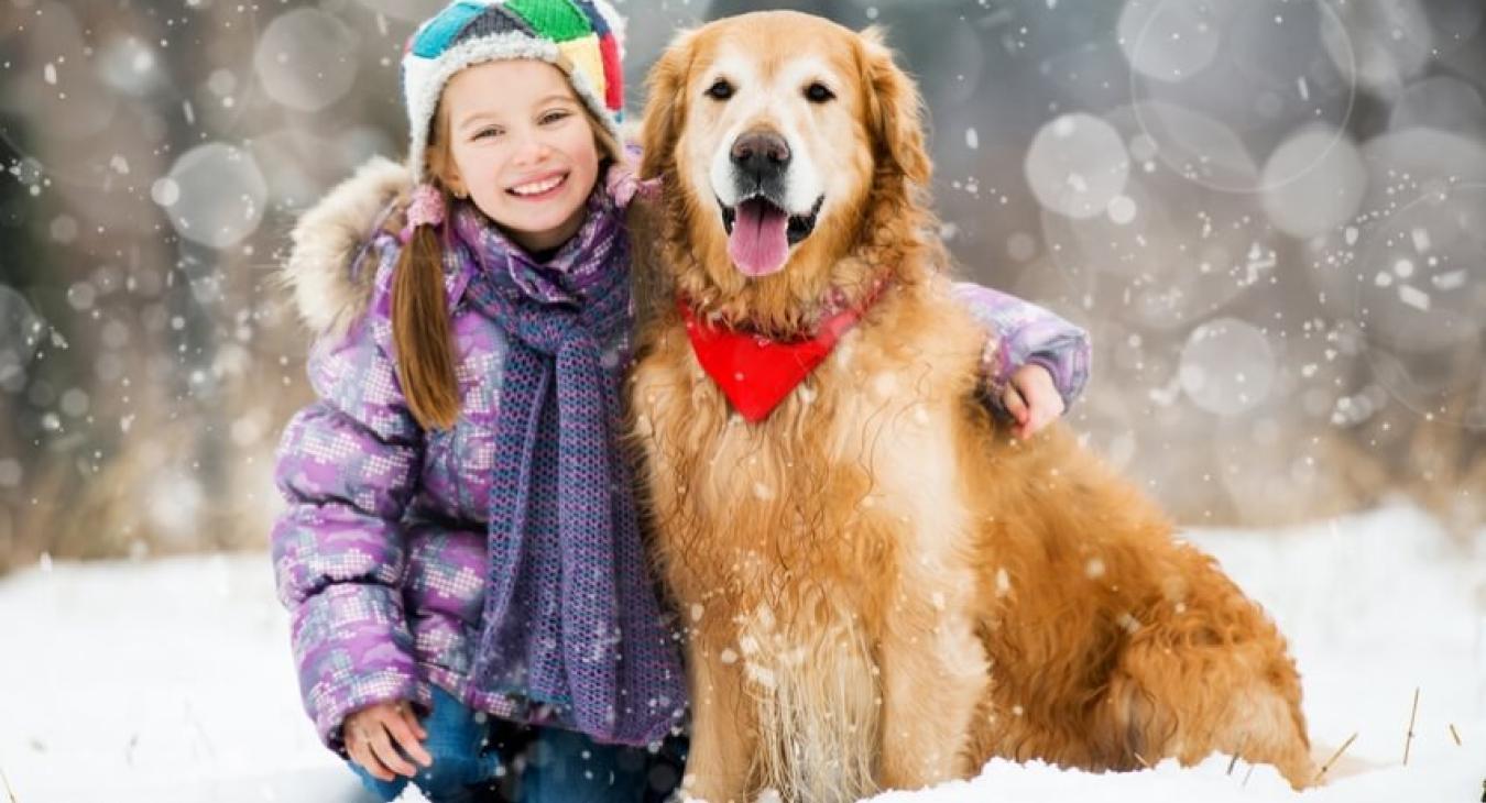 Mon chien et la neige