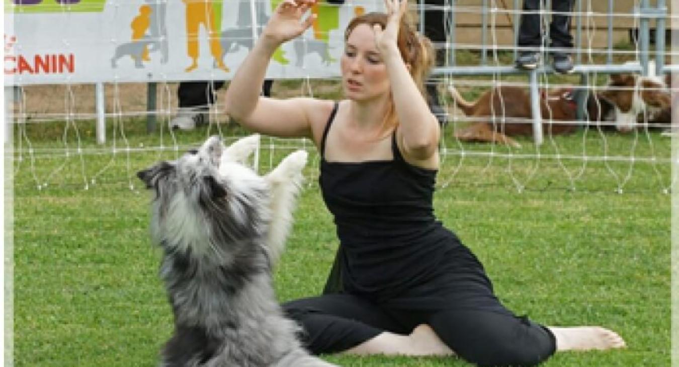 Dog dancing : Danser avec son chien