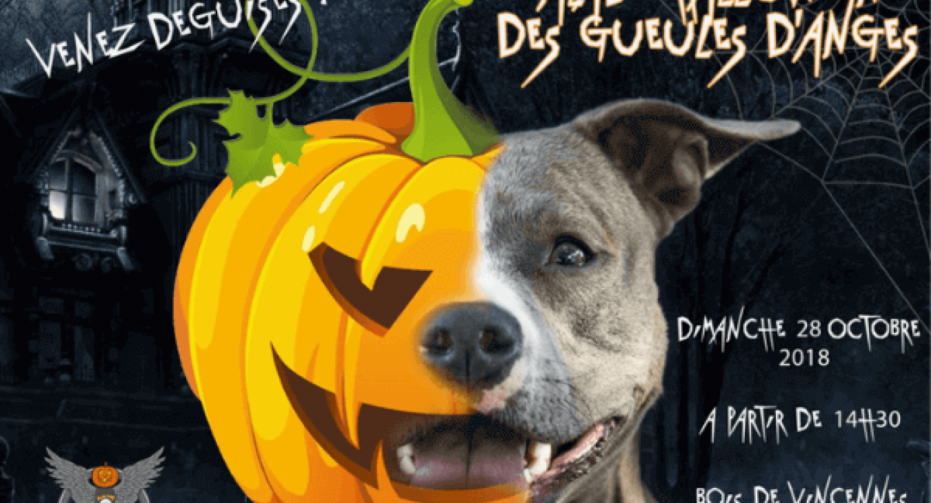 La balade d'Halloween des Gueules d'Anges