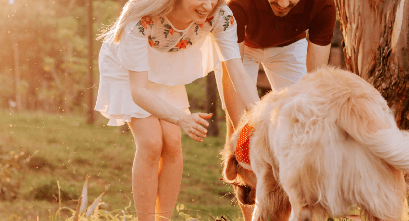 Comment apprendre le rappel à son chien ?