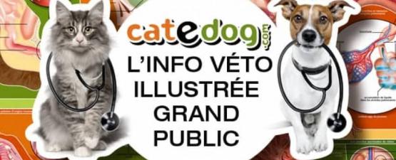 CateDog.com, le site d'information vétérinaire illustré sur le chat et le chien